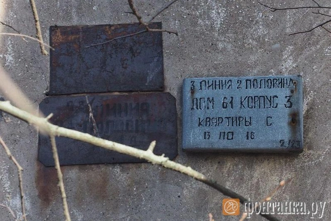 Источник: автор фото Михаил Огнев/«Фонтанка.ру»
