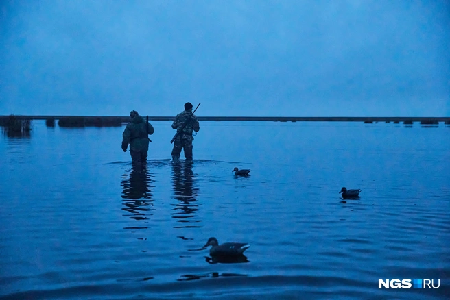 Озеро Чаны&nbsp;—&nbsp;остаток древнего моря в Сибири или врата в мир духов? | Источник: Александр Ощепков / NGS.RU