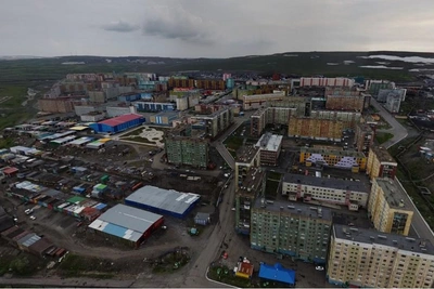 В Норильске ввели карантин по бешенству животных