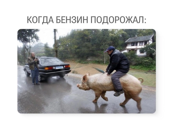Экономия на бензине заставляет искать необычные виды транспорта | Источник: Юрий Скулыбердин / Городские медиа