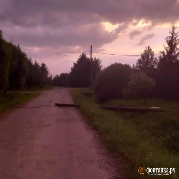 Источник: читатель «Фонтанки»