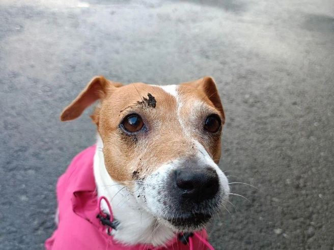 Источник: читательница E1.RU Юлия