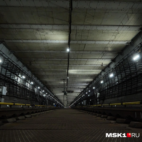 Источник: Дмитрий Толстошеев / MSK1.RU