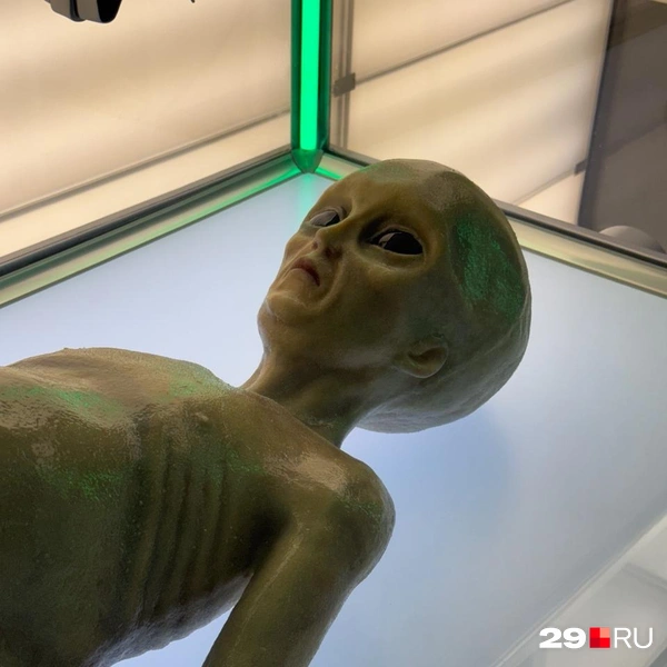 Источник: Валерия Богатырёва / 29.RU