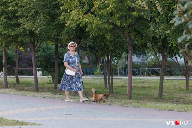 Прогулочная зона перестанет быть просто точкой на карте | Источник: Алексей Волхонский / V1.RU