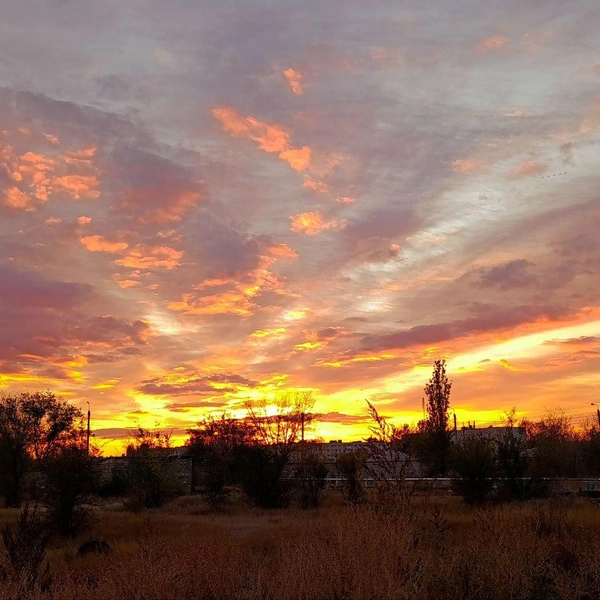 Источник: читатели V1.RU