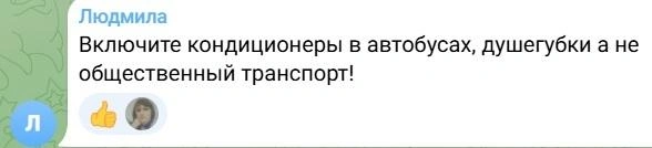 Источник: news161ru / T.me