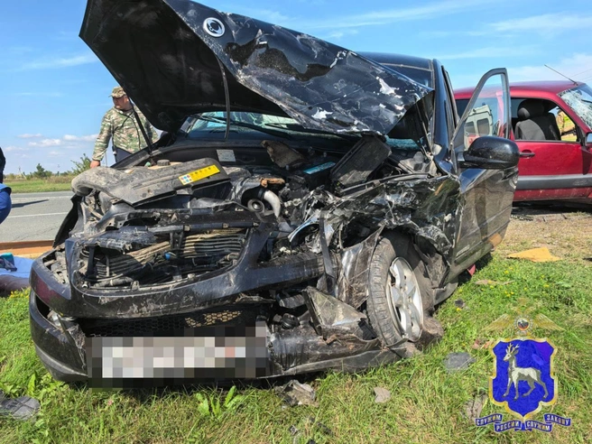 У авто выгнуло дугой крышку капота | Источник: ГУ МВД России по Самарской области