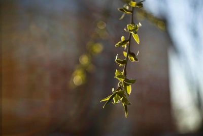 В Омской области потеплеет до +24 градусов