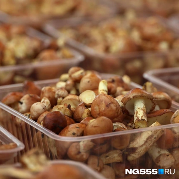 А вот и маслята | Источник: Евгений Софийчук / NGS55.RU