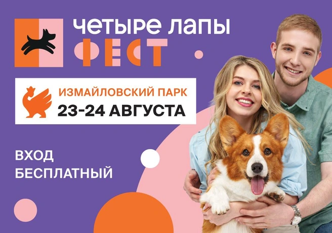 Лето — сезон отпусков, отдыха на природе, путешествий, концертов и фестивалей | Источник: предоставлено ООО «Четыре лапы»