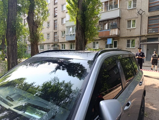 Источник: Сергей Петрин / T.me