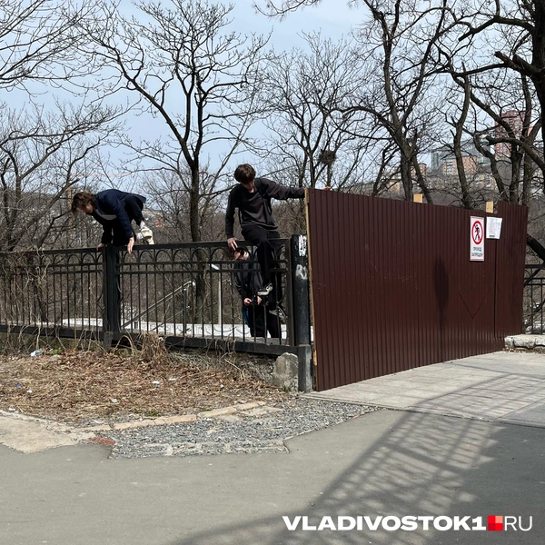 Источник: Елена Буйвол / VLADIVOSTOK1.RU