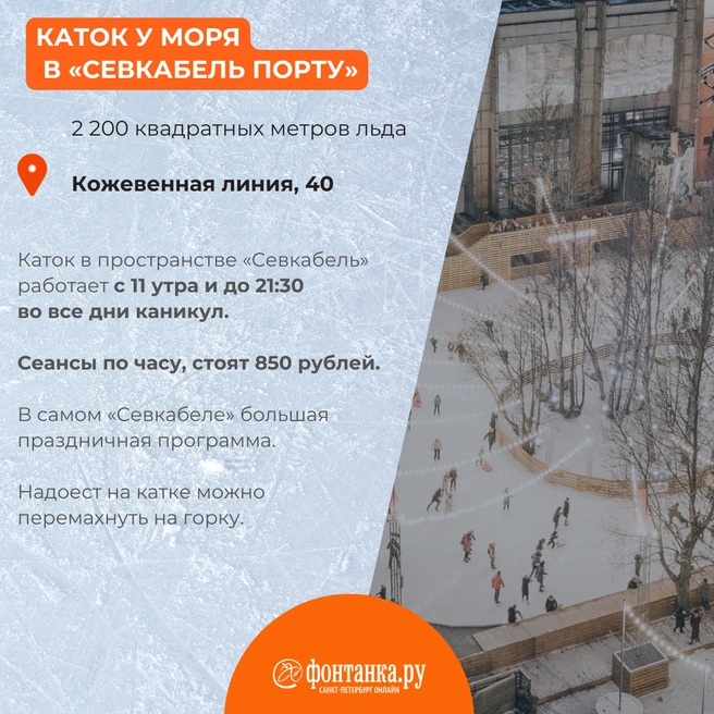 Источник: Светлана Григошина / «Фонтанка.ру»