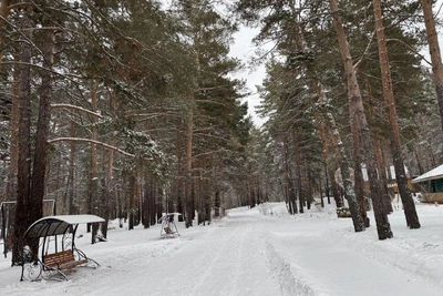 В Зауралье зафиксированы морозы до -35 градусов