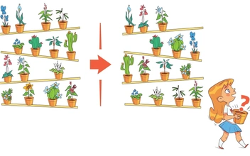 Мини-тест: какой цветок купили в магазине? Найдите правильный ответ за 7 секунд