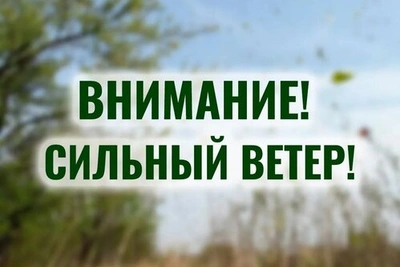 Тамбовчан предупредили об усилении ветра 28 апреля