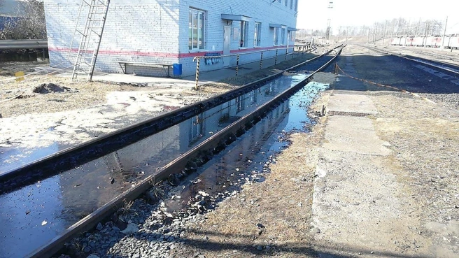 Под Выборгом разлились тонны мазута (фото) | Источник: Северо-западная транспортная прокуратура