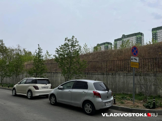 Источник: Алиса Князева / VLADIVOSTOK1.RU