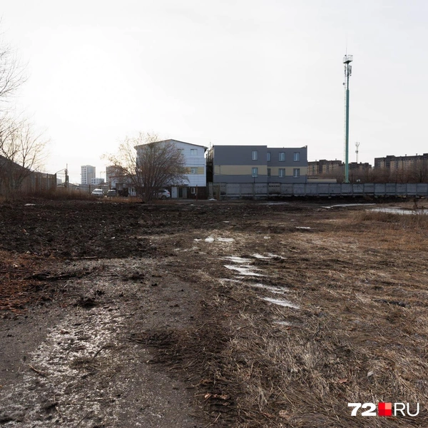 Источник: Ирина Шарова / 72.RU