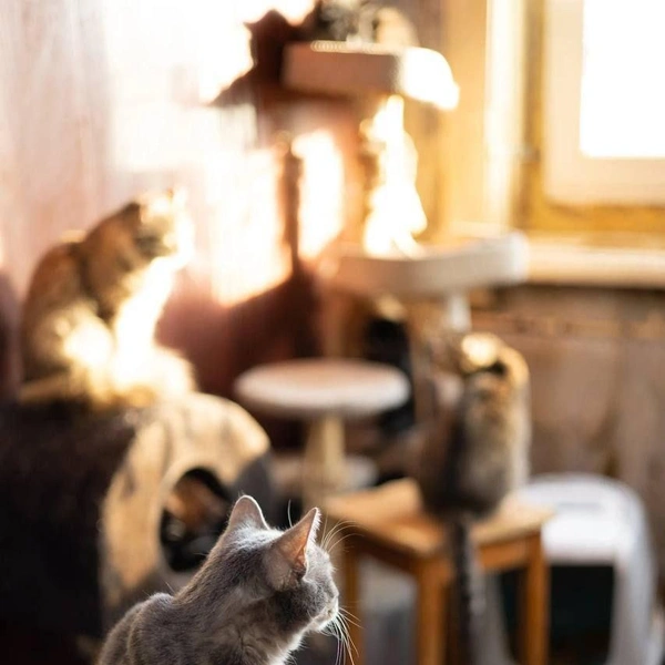 Источник: Елена Гасанова