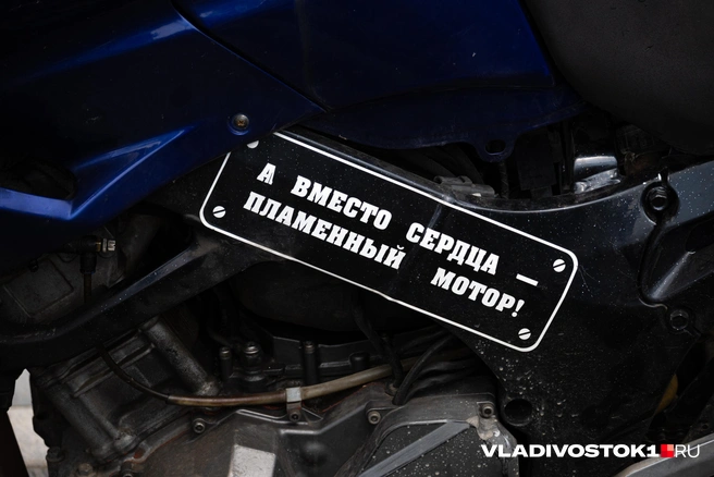 Источник: Елена Буйвол / VLADIVOSTOK1.RU