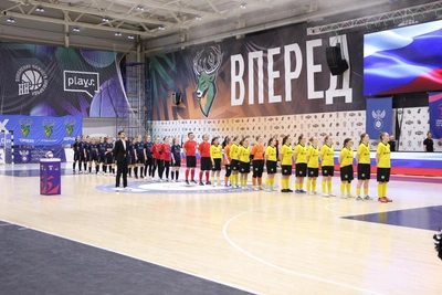 Техническое поражение «Норманочки»: министр спорта прокомментировал