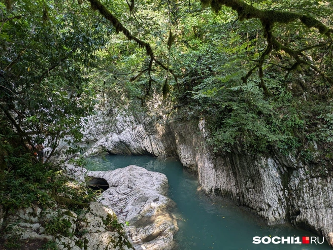 Вода в реке&nbsp;— около +24 °C | Источник: Оксана Витязь / SOCHI1.RU