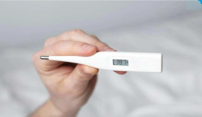 Министерство труда разрабатывает экспериментальный проект, предусматривающий добровольные страховые взносы для самозанятых | Источник: Nk-tv.com