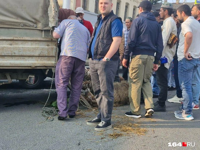 Десятки мусульман пришли на Радищева за жертвенными барашками | Источник: Виктория Федорова / 164.RU