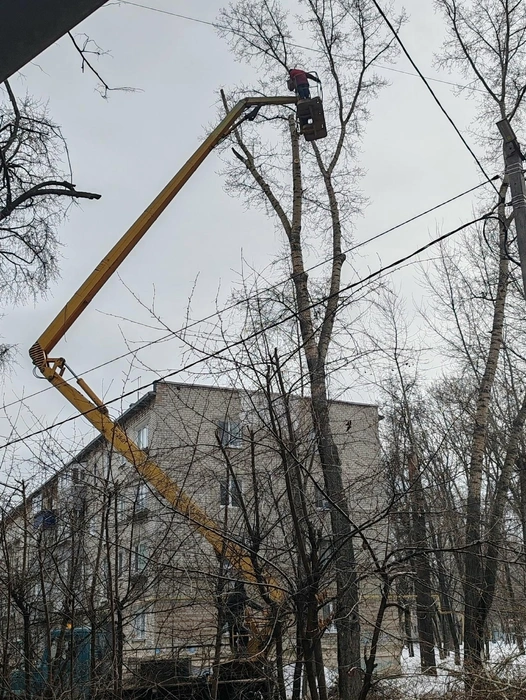 Источник: ugd.ru