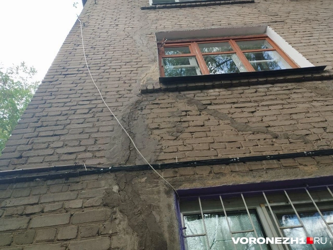Источник: Дмитрий Волгин / Voronezh1.ru