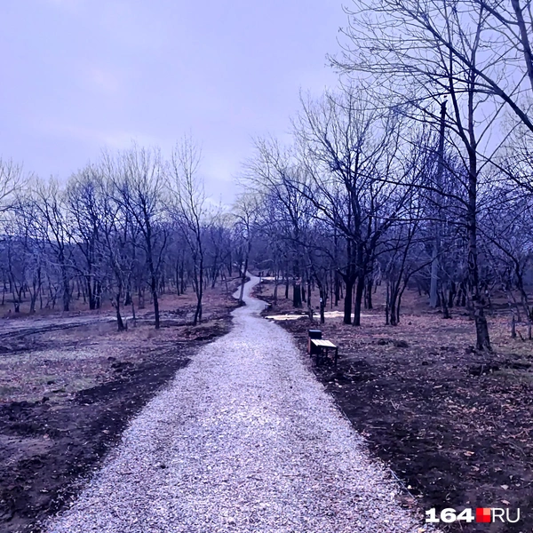 Источник: Сергей Гендин / 164.RU