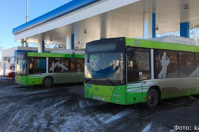 Дачные автобусы Камчатки переходят на летнее расписание