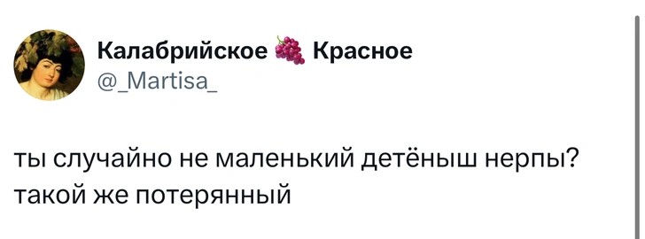 Источник: X (Twitter)