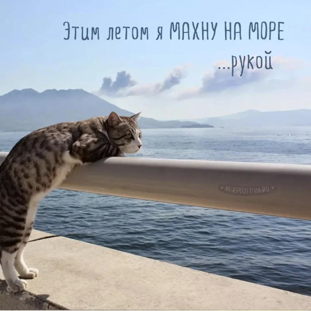 Море-море...:-) Здравствуйте, уважаемые, Приятного, времени, суток