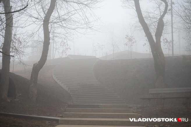 Источник: Елена Буйвол / VLADIVOSTOK1.RU