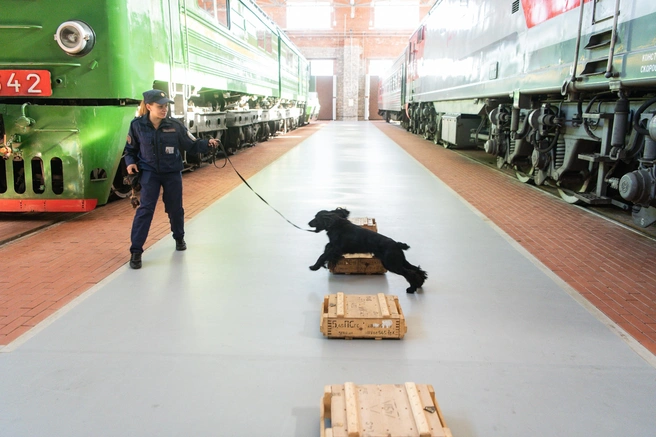 Источник: Максим Воробьев