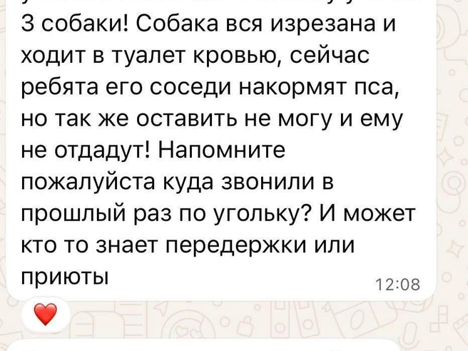 Источник: читатель E1.RU