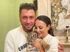 Блогер Конасова распекла Прилучного за фотосессию с тигром: «Ближе всех к пасти хищника оказалась дочь Павла»