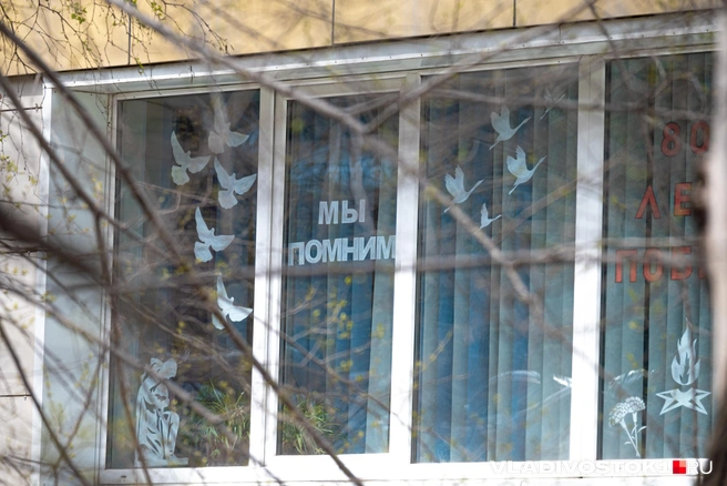 Источник: Елена Буйвол / VLADIVOSTOK1.RU