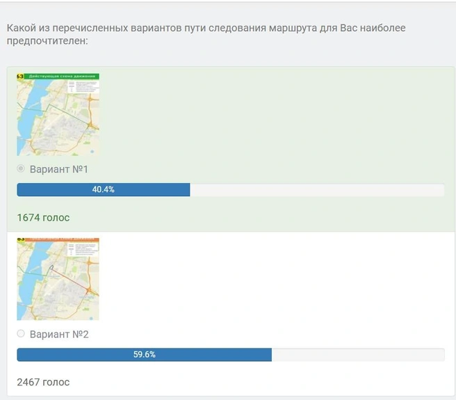 На момент публикации в лидерах был вариант мэрии | Источник: e-active.govvrn.ru