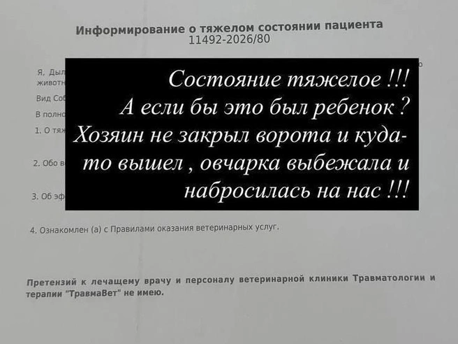 Источник: ilana7788 / Instagram.com (соцсеть запрещена на территории РФ)
