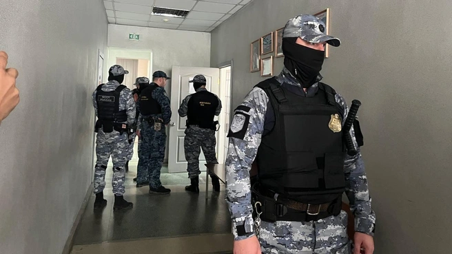 Силовики прокомментировали расследование громкого уголовного дела | Источник: Анастасия Якупова / E1.RU
