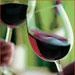 Terra Wine приглашает жителей и гостей Кемерова на дегустацию | ngs42.ru