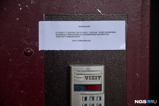 Такое объявление висит на одном из домов по улице Фрунзе | Источник: Александр Ощепков / NGS.RU