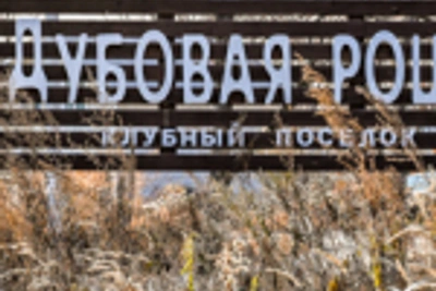 Суд вернул государству 23 участка в посёлке «Дубовая роща»