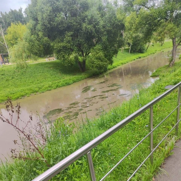 Местные пожаловались, что она неприятно пахнет | Источник: Troitsk City / Telegram