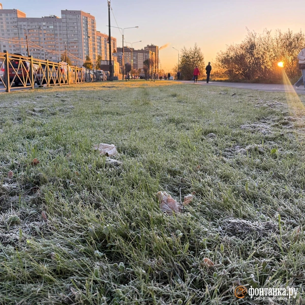 Источник: Марина Мамонтова / «Фонтанка.ру»