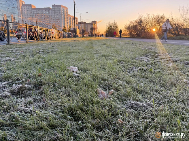 В Ленинградской области уже этой ночью похолодает до –7 градусов | Источник: Марина Мамонтова / «Фонтанка.ру»